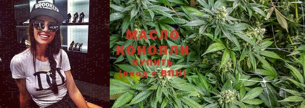 индика Новосибирск