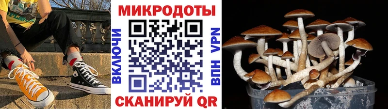 Псилоцибиновые грибы ЛСД купить наркотики сайты Махачкала