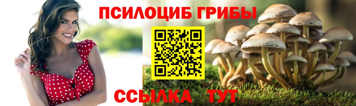 Махачкала  Галлюциногенные грибы Magic Shrooms  Псилоцибиновые грибы ЛСД  Вход с VPN 