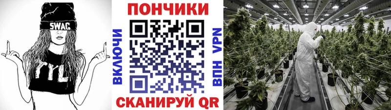Канабис ГИДРОПОН  Махачкала 
