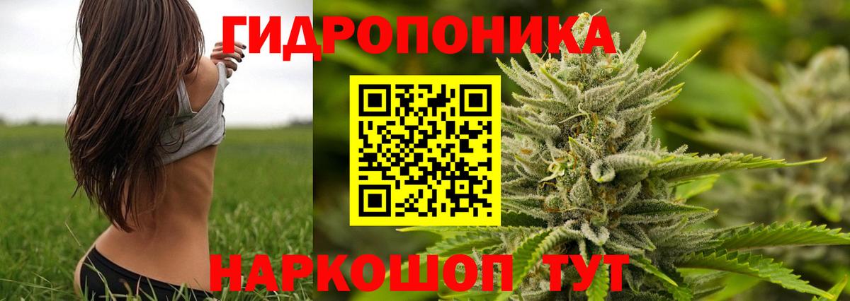 МАРИХУАНА Ganja  Махачкала  Канабис план 